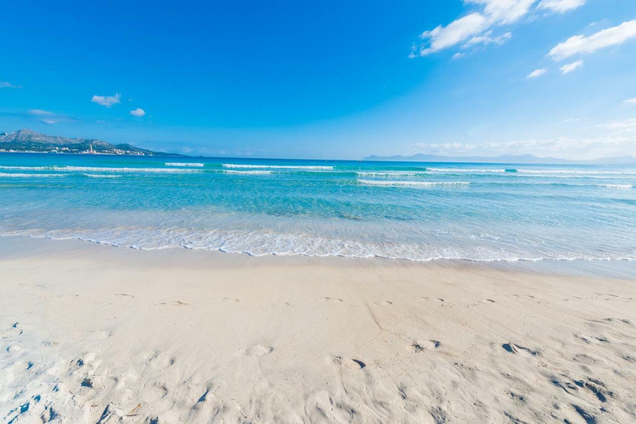 New! Sun Of The Bay 3b Apartment *